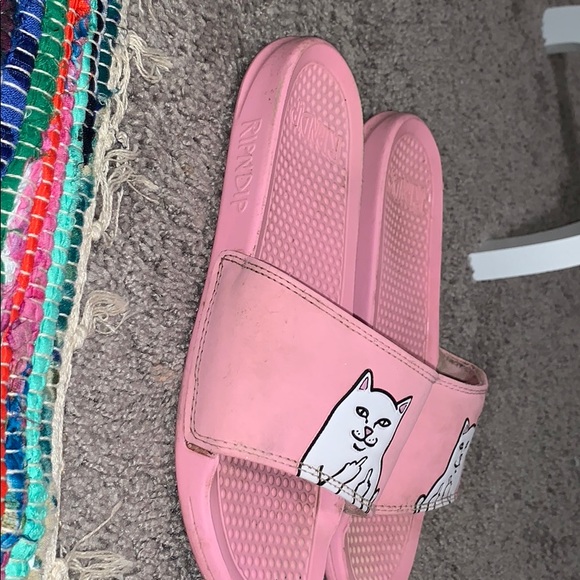 RIPNDIP slides - Picture 2 of 5